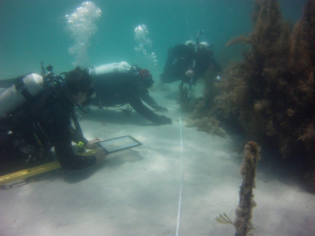 Divers inspecting Eivion